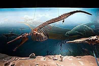 AI生成《暗黑2》80年代电影画风角色 女角太美丽